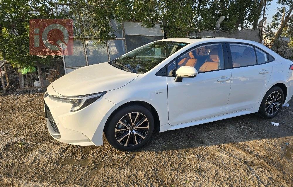 تويوتا كورولا